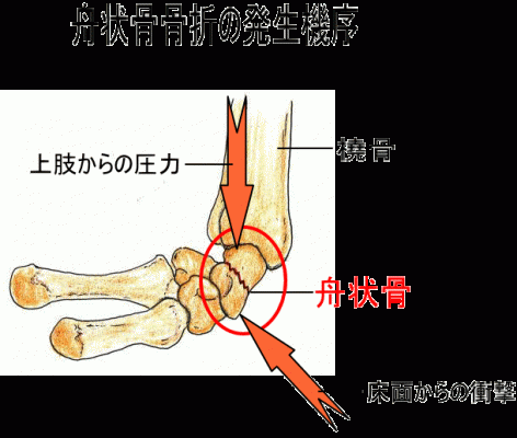 13shujoukotu05